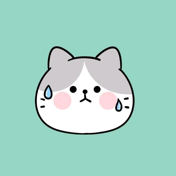 头哥