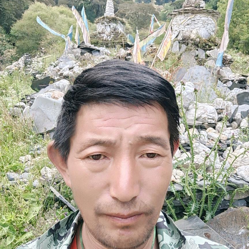 高阶语言就