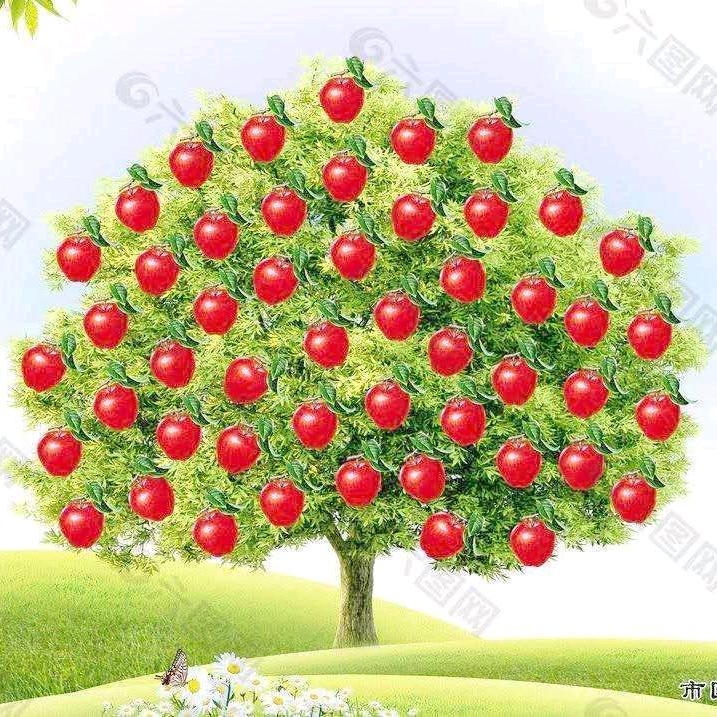 凉皮姐姐❤️❤️❤️