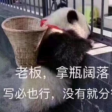 公主殿下👸👸