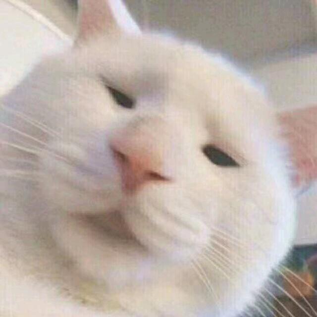 二毛°