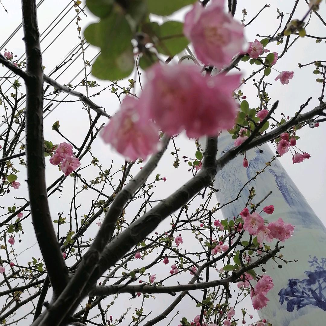 春风和暖