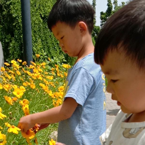 顺理陈张