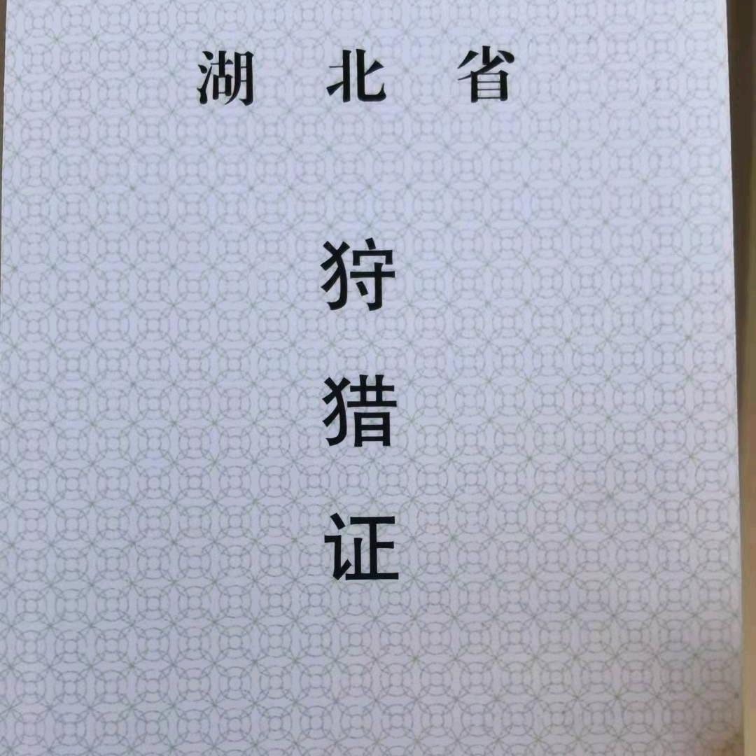 深山的追逐（王家湾）