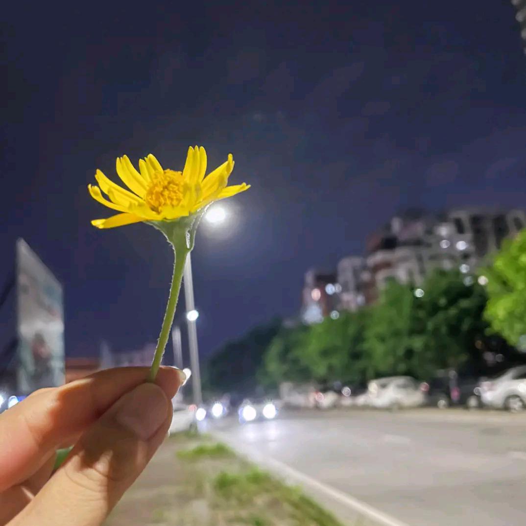 秋姐吖