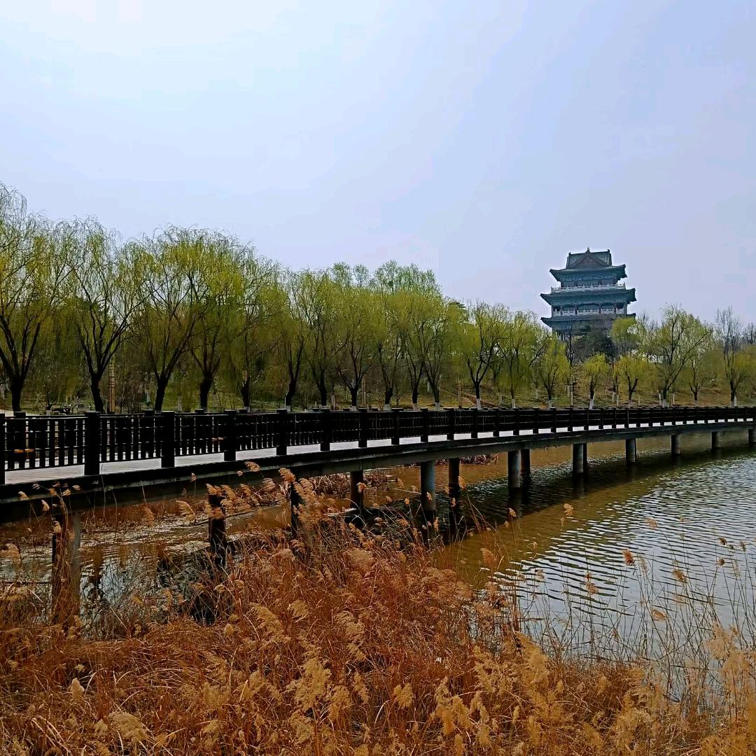 润滑油铺子