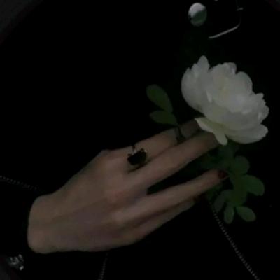 芊羽（三角洲行动）