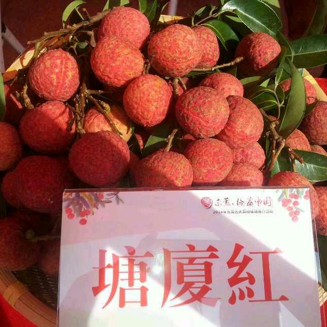 东莞市塘厦远昌果场