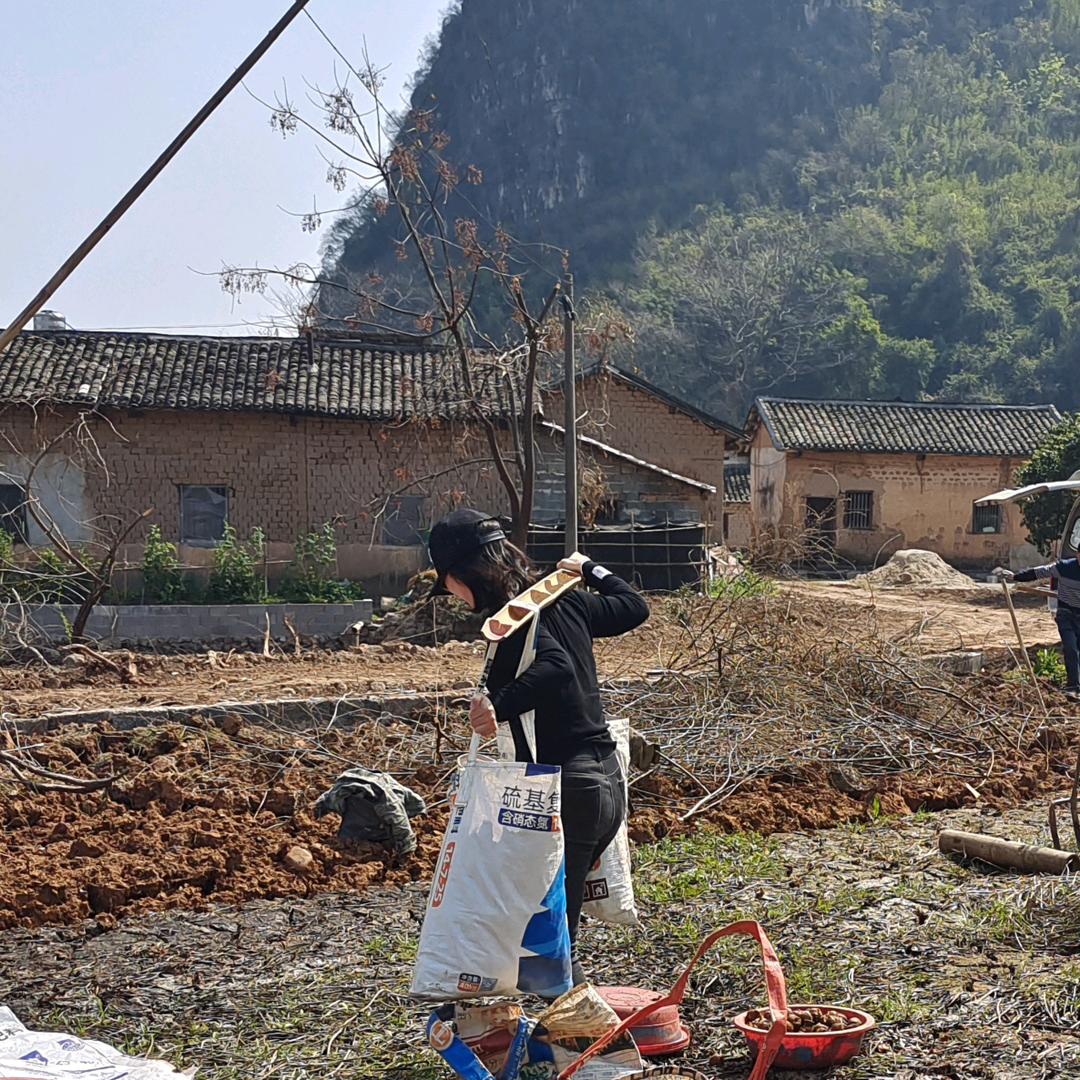 广西桂林金叶子商贸有限公司企业店