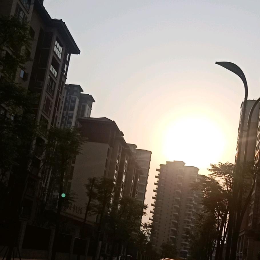 周周