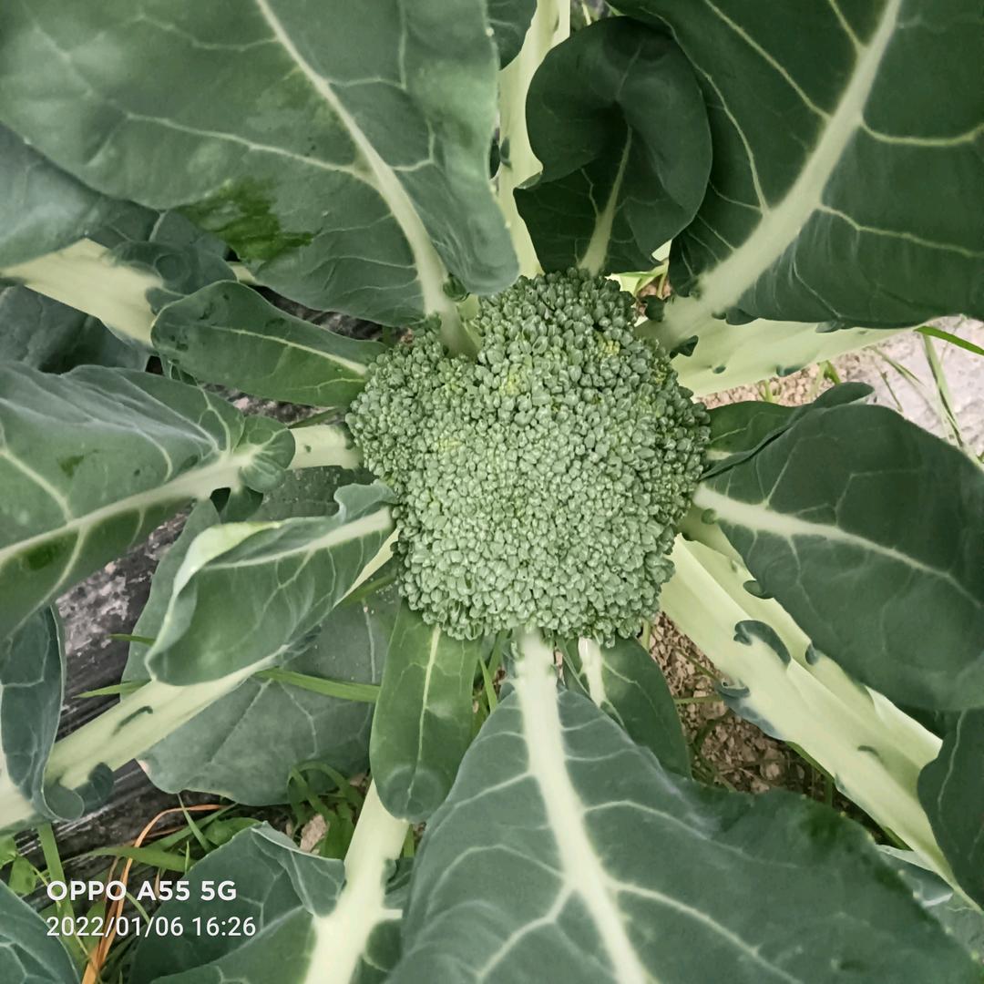 এ故事缺酒໌ᮨ🚬也缺你🍶དྷ༗