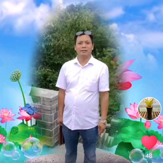 🦋এ᭄花ꦿ枝💔召ོ展࿐ᩚ