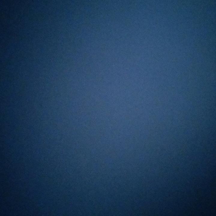 老白
