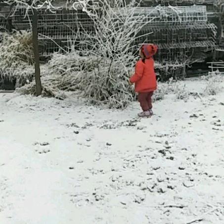 爱家的宝马