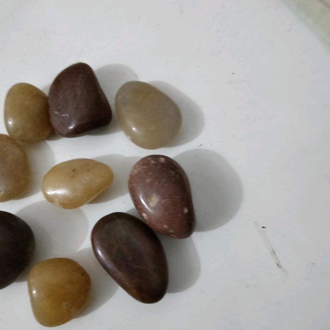 幸福日子万年长