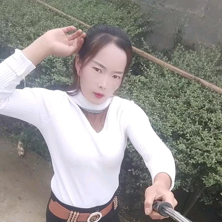 杨，南方经纪人，小婆娘