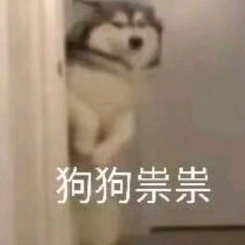 人生理想猫狗双全（戒谷版）