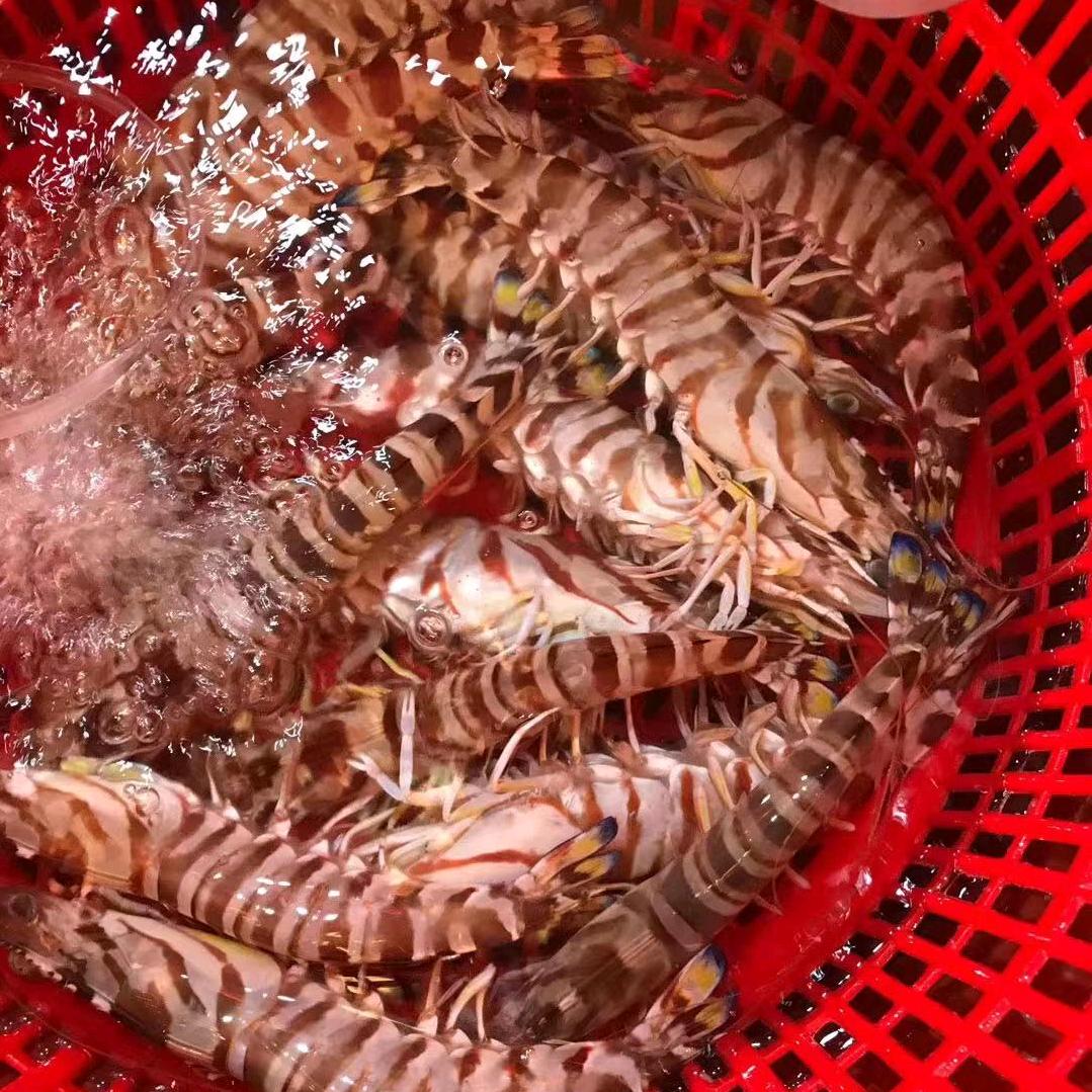 卖海鲜的小男孩