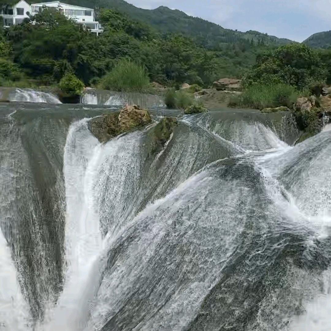 杜康珍藏