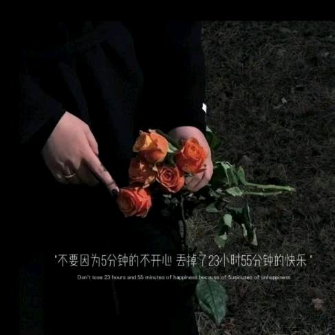 西北虎 东北🐺