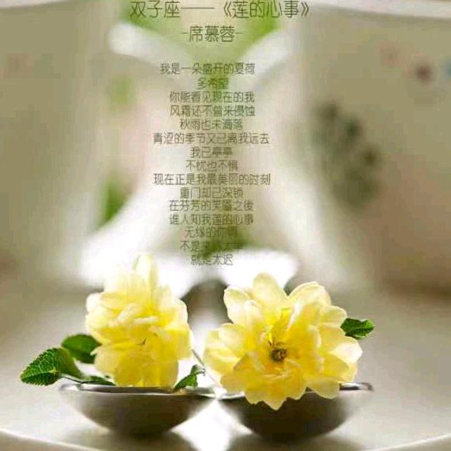 贵州傻瓜姐