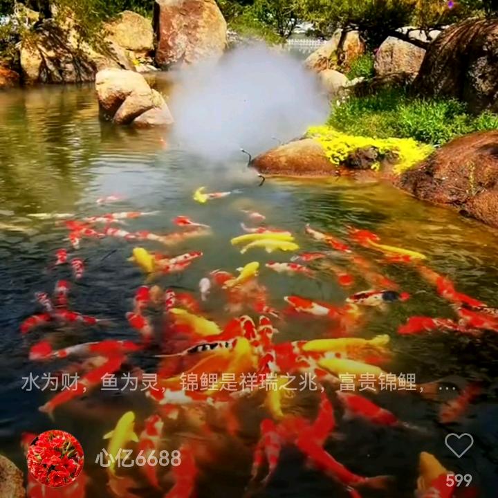 用户6916889725834颖姐