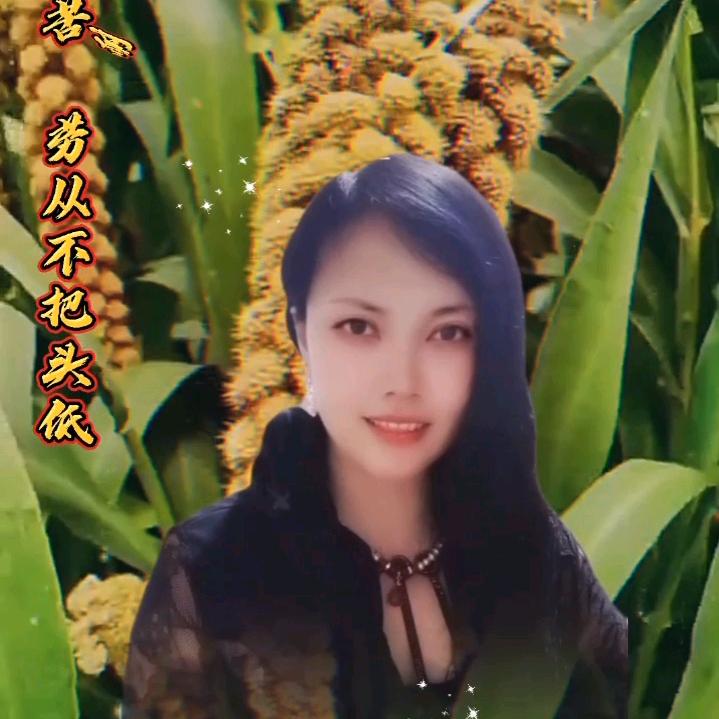 许桂华