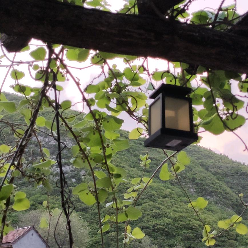 🐡洋洋初体验🐳