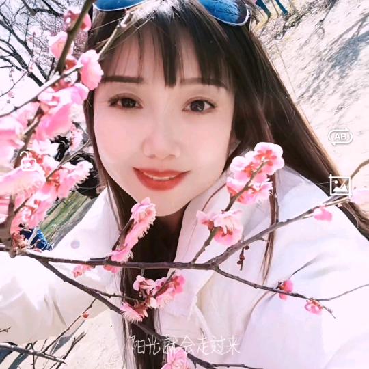 紫藤花语
