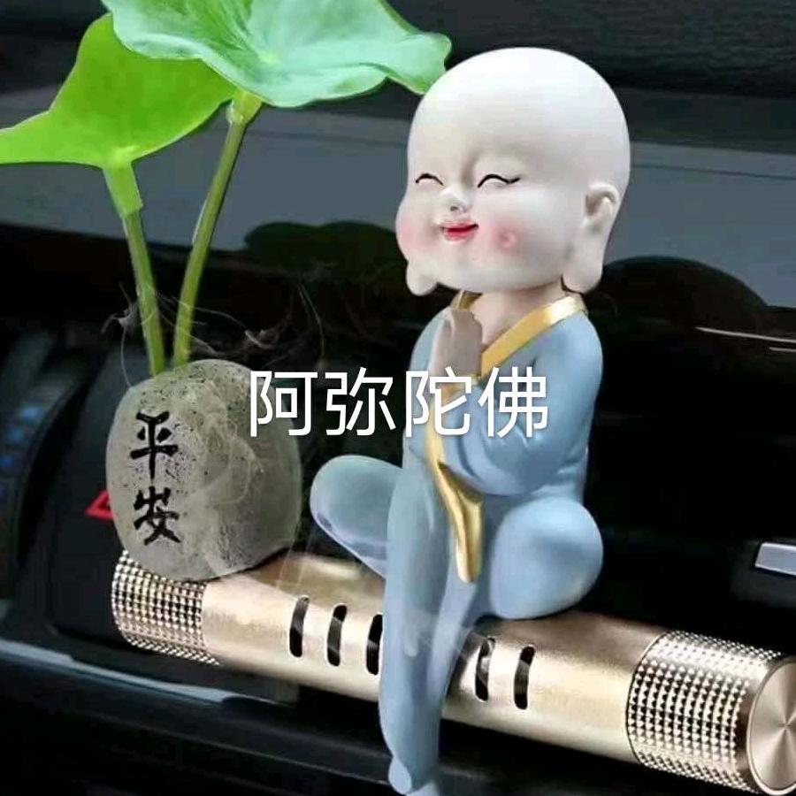 闹人的猫