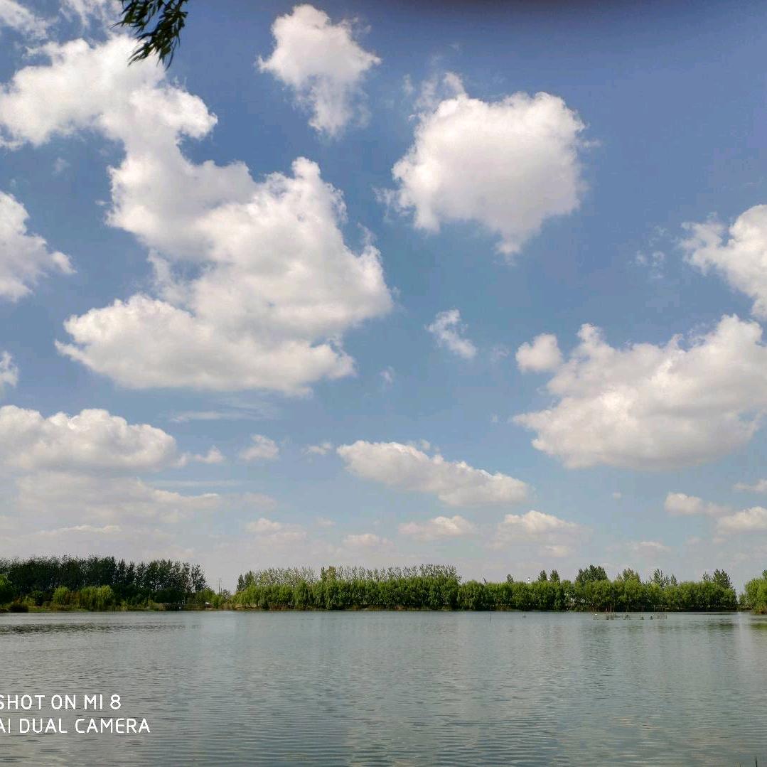 那年一起品花香