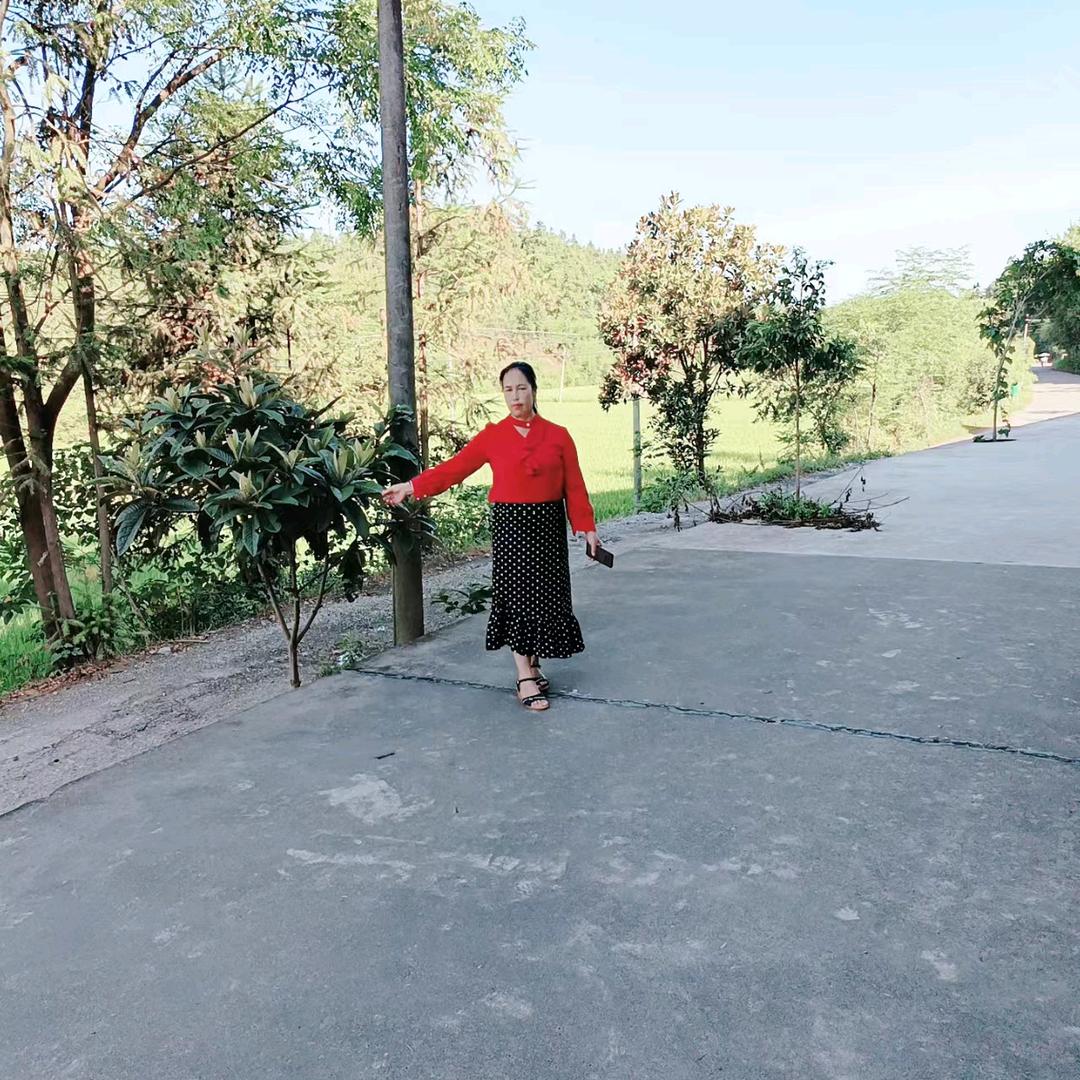 芳芳