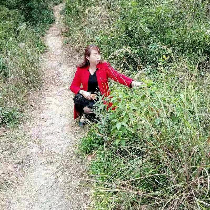 小苹果🌼️