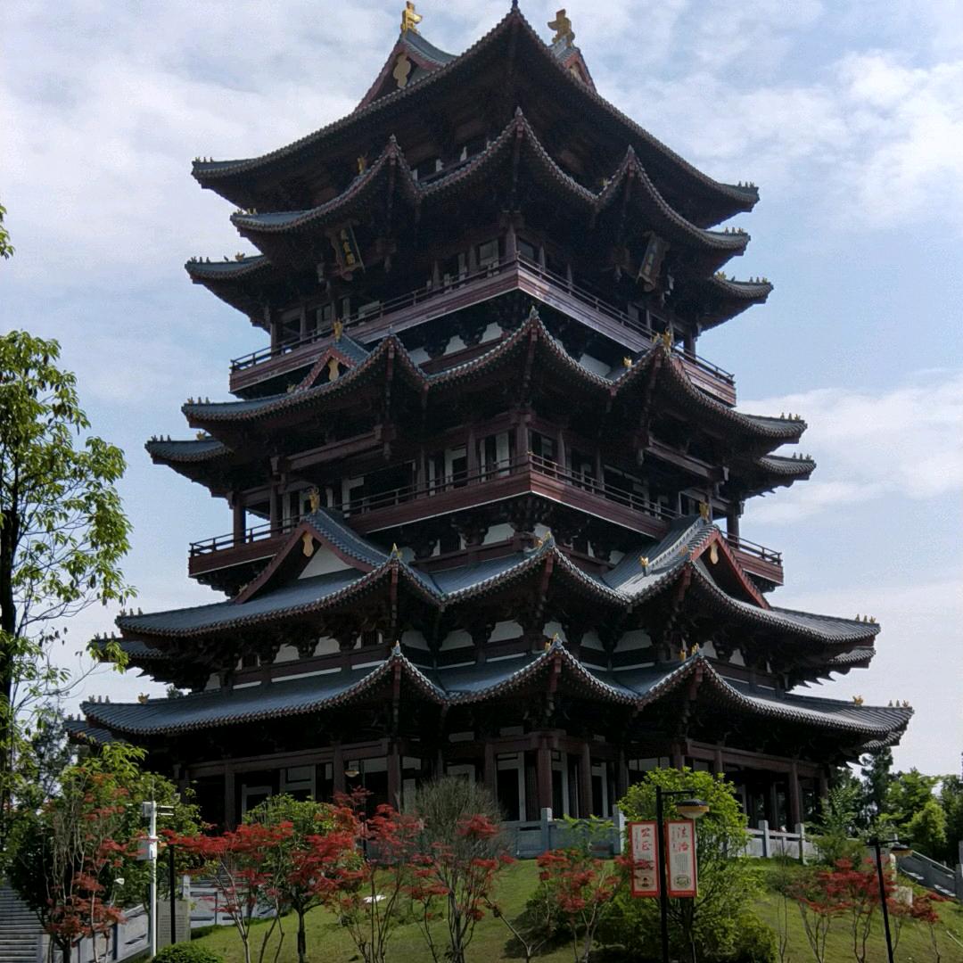 蜀州鸽舍677886992