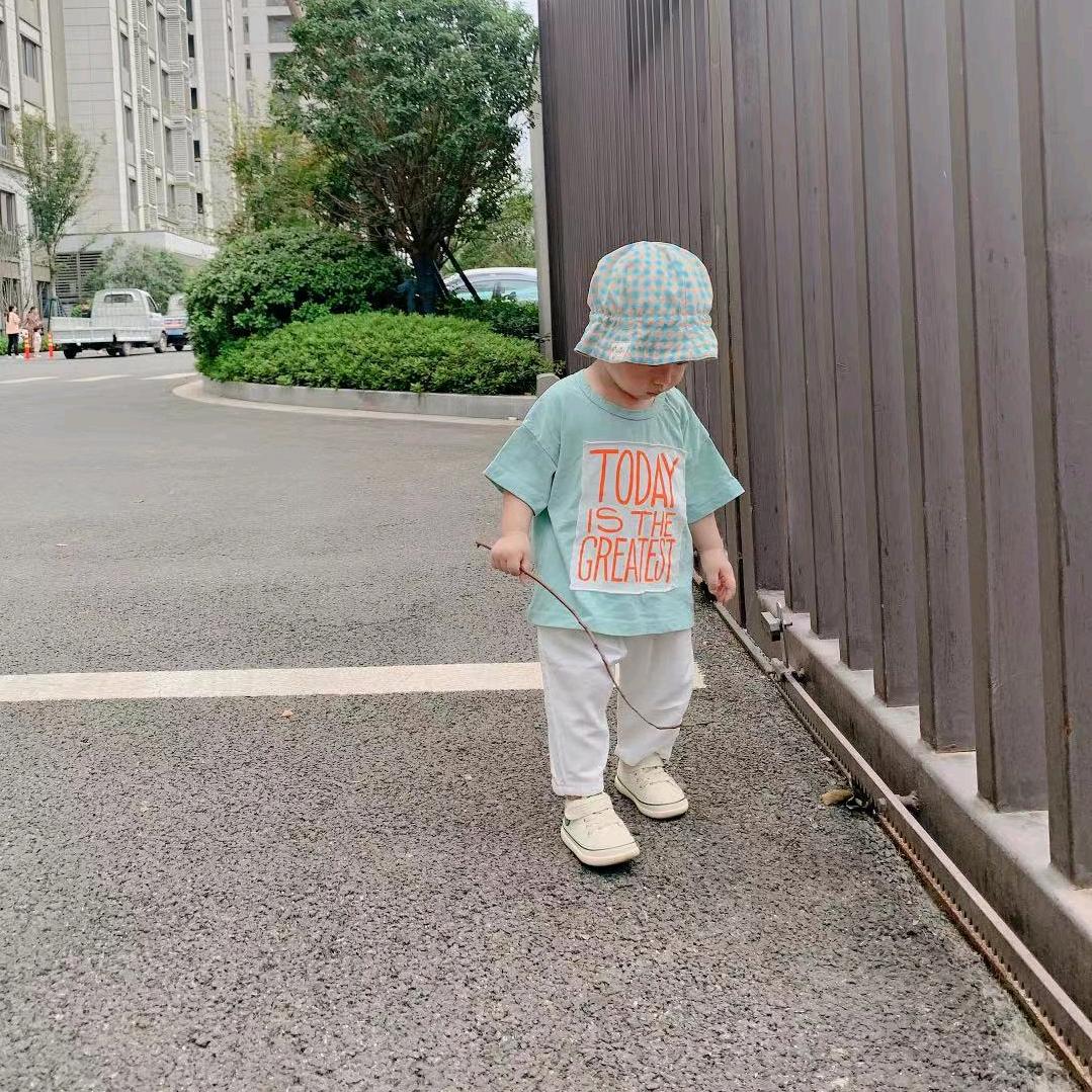落叶知秋