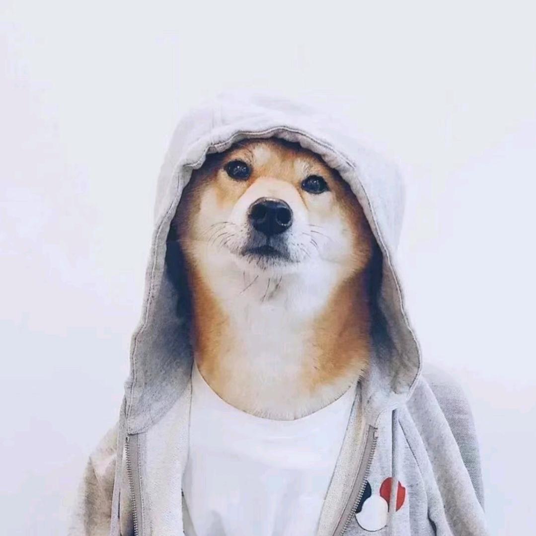 大王来巡山（KTV酒吧预定）招外联