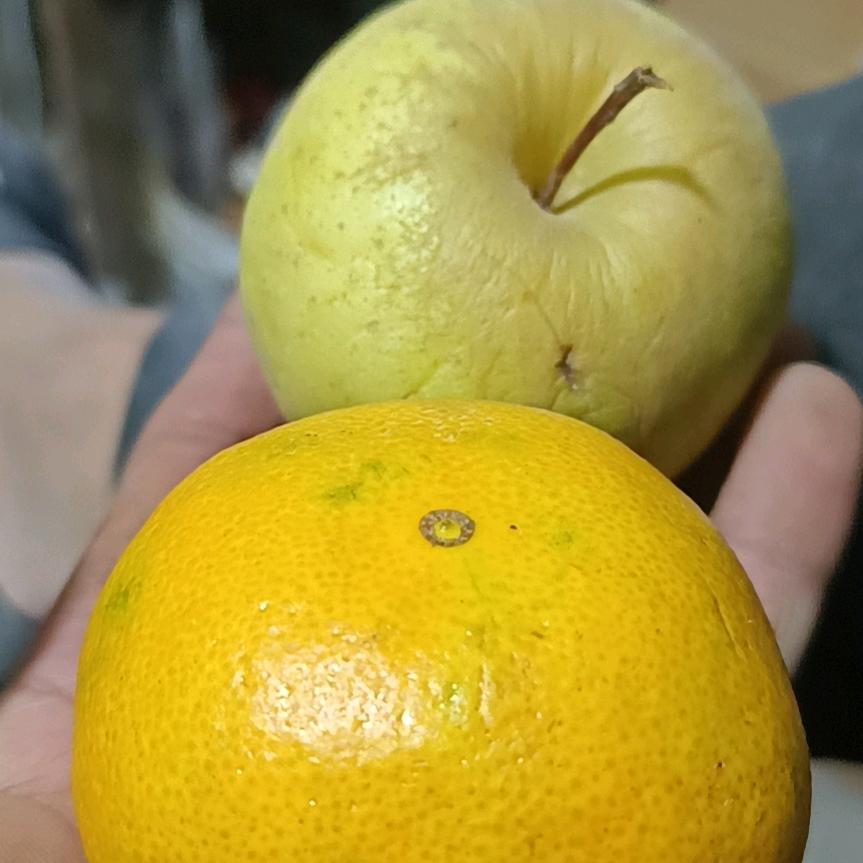 忘掉一切