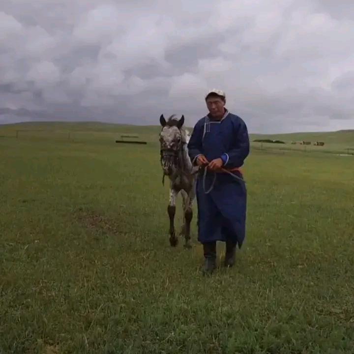 苏呢