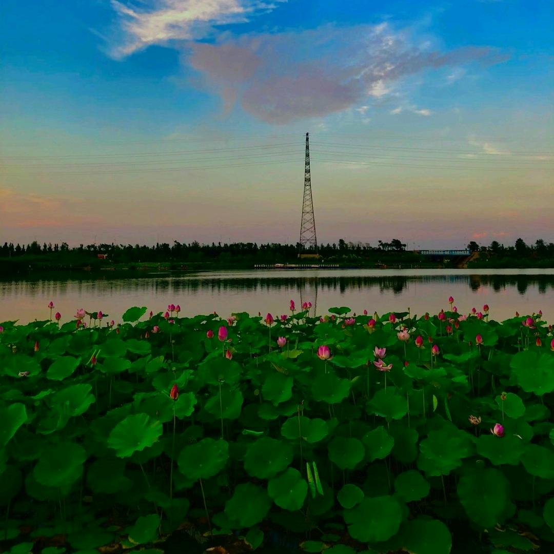 ໑ຼₒ₂₂୧⍤⃝李💞ــــﮩﮩ٨