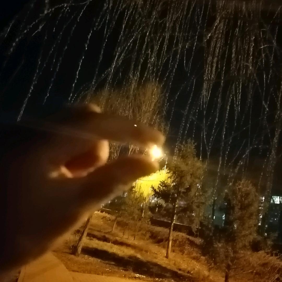 耳双聂