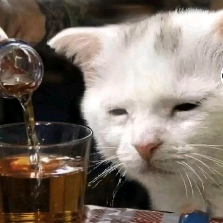 吃不饱的菠萝蜜