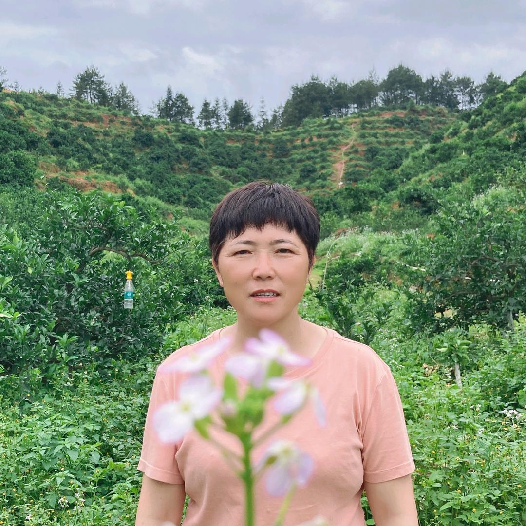 小鱼小派奶奶在果园