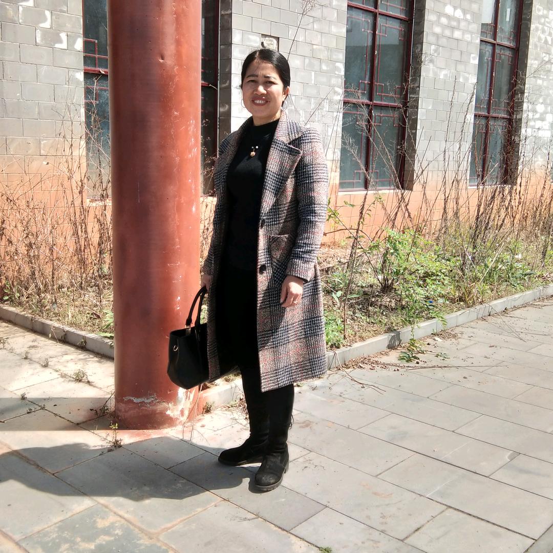 ZHL会飞的鱼