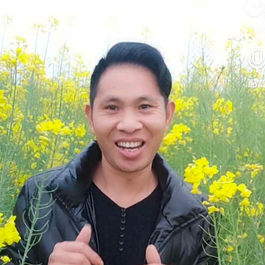 光伏，引孔，拖桩，打桩，罗罗