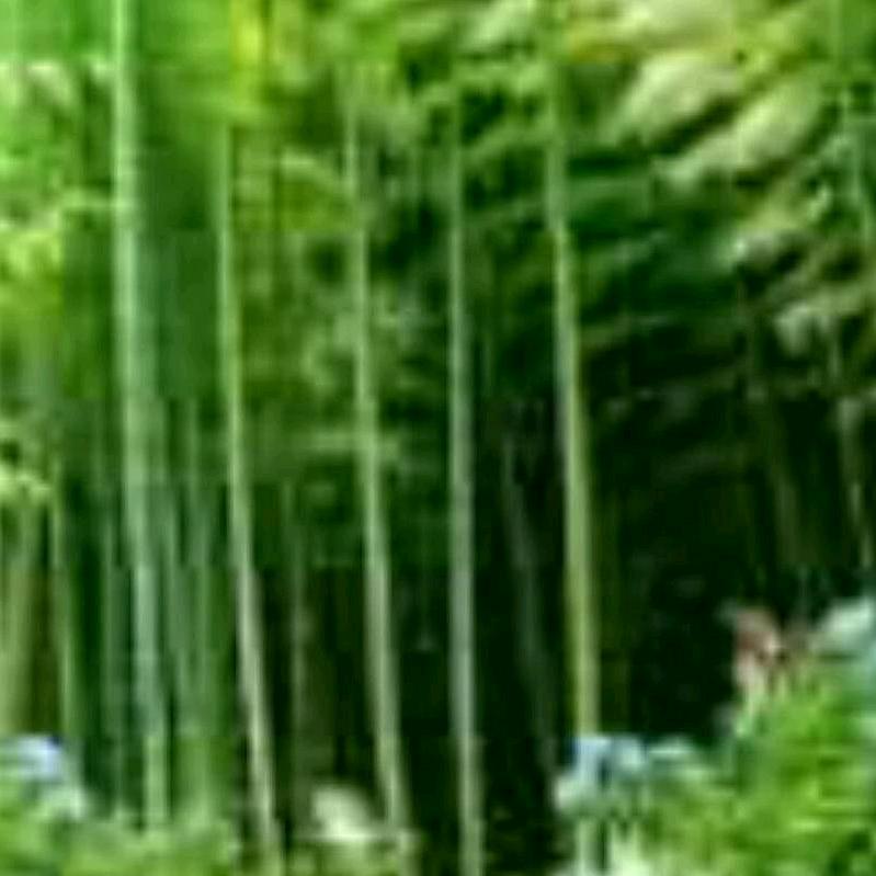 甜蜜的谎言