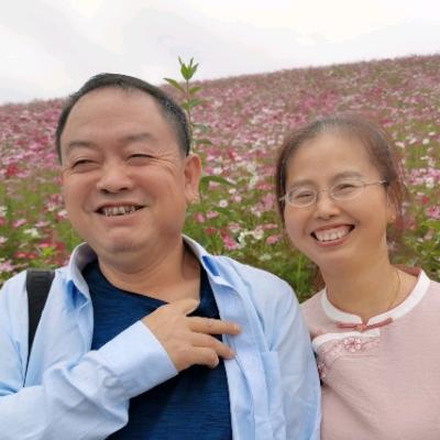 叶子