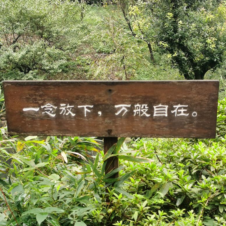 红梅