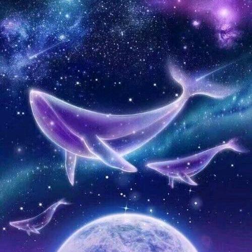 鱼～