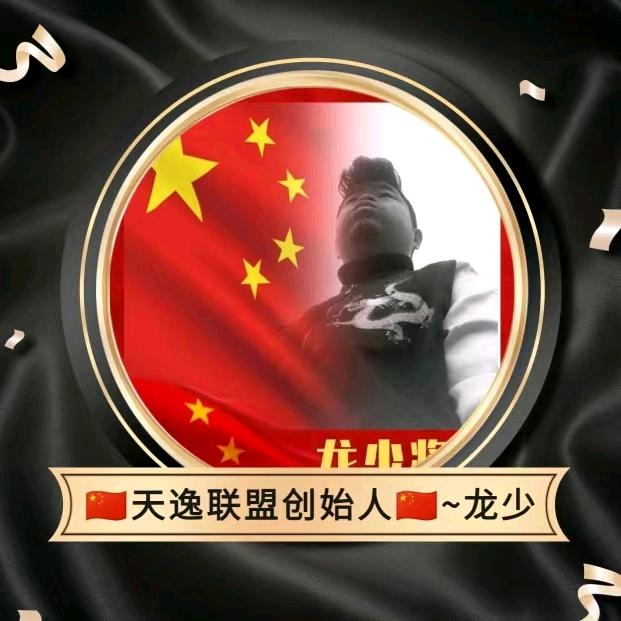 🇨🇳龍少軍团🇨🇳无声人