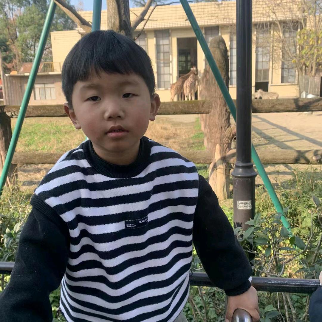 以风如歌
